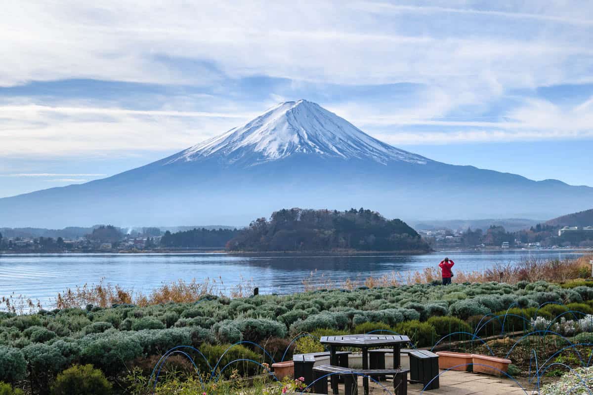 Garden beds and a wooden platform overlook Mount Fuji across a lake in Japan.