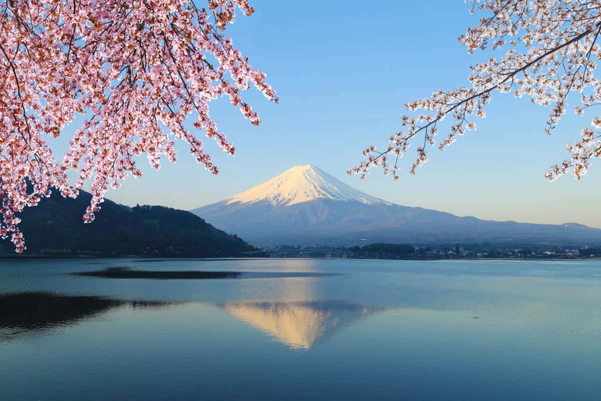 Cherry branches frame Mount Fuji and its reflection across a blue lake in Japan.
